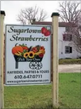  ?? PHOTO BY EMILY RYAN ?? Sugartown Strawberri­es the honor system. sells asparagus on