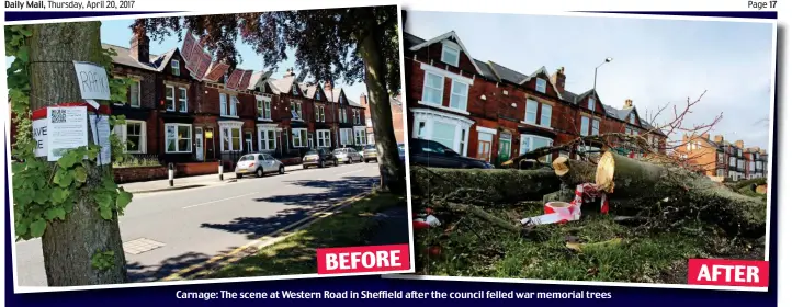  ??  ?? Carnage: The scene at Western Road in Sheffield after the council felled war memorial trees