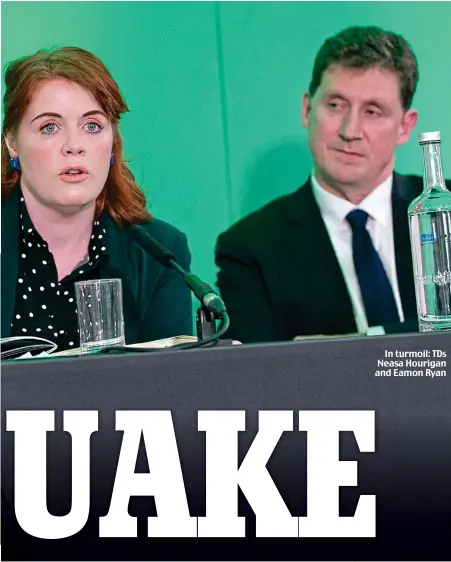  ??  ?? In turmoil: TDs Neasa Hourigan and Eamon Ryan