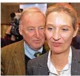  ?? FOTO: STRATENSCH­ULTE/DPA ?? Alexander Gauland und Alice Weidel führten die AfD als Spitzenkan­didaten in den Bundestag.