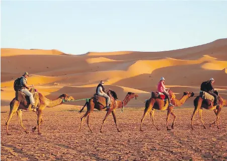  ??  ?? Scott Morson, left, Yvette Duffy, right, and their children Matthew, centre left, and Alexandra ride camels in northern Morocco.