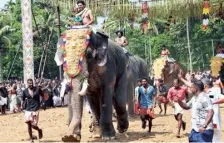  ?? K.K. NAJEEB ?? Safety first: The court directed the verificati­on and issuance of fitness certificat­es for elephants be done on April 18.
