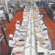  ?? Joe Amon, Denver Post file ?? Workers, including Somalis, trim beef at the Cargill Meat Solutions plant in Fort Morgan.