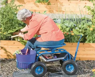  ?? GARDENERS.COM PHOTOS ?? A woman gardens in a raised bed while seated on a Deluxe Tractor Scoot, one of many available products designed to make gardening easier on the body.