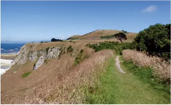  ??  ?? Above top: The tip of the Kaikoura Peninsula from the rock platform.Above right: The knoll in the background is home to ground nesting Hutton’s shearwater, protected by a predator proof fence. Below right: View from the carpark towards the Kaikoura Range. Below left: Red-billed gull chick.