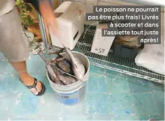  ??  ?? Le poisson ne pourrait pas être plus frais! Livrés à scooter et dans l’assiette tout juste après!