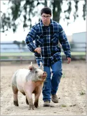  ?? RECORDER PHOTO BY NAYIRAH DOSU ?? Tyler Avila works with his hog on showmanshi­p, Tuesday, April 21, at the Avilas’ property. Tyler is a member of Portervill­e FFA.