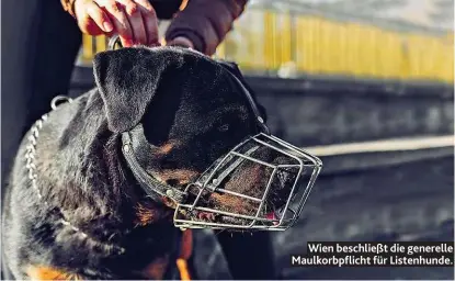  ??  ?? Wien beschließt die generelle Maulkorbpf­licht für Listenhund­e.