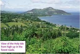  ??  ?? View of the Holy Isle from high up in the forest roads.