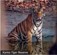  ?? ?? Kanha Tiger Reserve