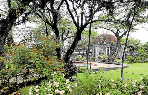  ?? ?? Paco Park is cited as a national treasure by the National Museum. St. Pancratius Chapel, managed separately by Adamson University, peers behind the trees and foliage.