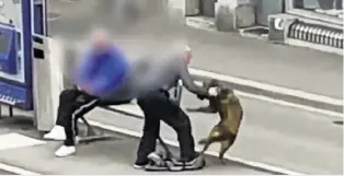  ??  ?? Der Mann kann nicht mehr auf die Hündin einprügeln, sie ist nun in einem Tierheim. Video: Sehen Sie, wie der Rentner auf den Hund losgeht. 20minuten.ch