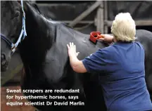  ??  ?? Sweat scrapers are redundant for hypertherm­ic horses, says equine scientist Dr David Marlin