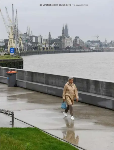  ?? FOTO JAN VAN DER PERRE FOTO JAN VAN DER PERRE ?? De Scheldeboc­ht in al zijn glorie