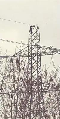  ?? Elliot James Goodwin ?? ●● The man pictured at the top of the electricit­y pylon in Macclesfie­ld