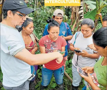  ?? Fotos: cortesía Ecociencia ?? Los veedores son los encargados de recolectar la informació­n en la zona. Luego se procesa para obtener datos científico­s.