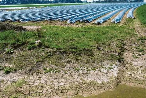  ?? Foto: AELF (Symbolbild) ?? Wenn starker Regen Böden auswäscht, leidet deren Fruchtbark­eit. Die Humusschic­ht verschwind­et und die Äcker verhärten.