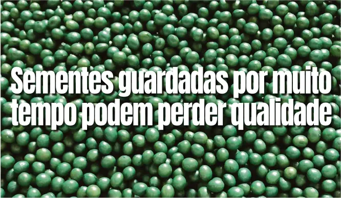  ?? Divulgação/cocamar ?? “A semente é um ser vivo e mantê-la em boas condições é uma corrida contra o tempo”, diz o agrônomo Diogo Amaral