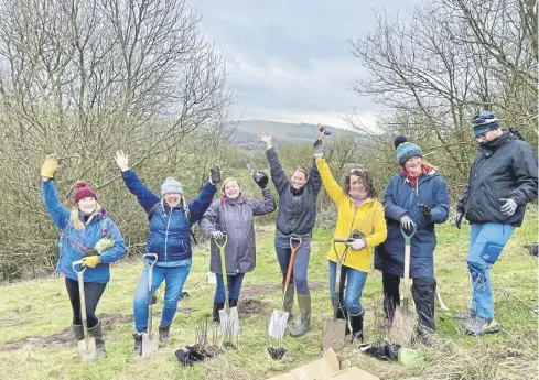  ?? ?? New trees being planted at Wild Heart Hill, Worthing, as part of Trees for the Downs