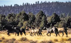  ?? Kent Nishimura / Los Angeles Times ?? A U.S. district judge struck down a California law to block sales of federal land such as this at Modoc National Forest.