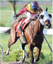  ?? PHOTOS BY KENYON HEMANS ?? CAPTUREMYS­HIP (Oneil Scott) scoring a three-length win in last Saturday’s tenth race at Caymanas Park.