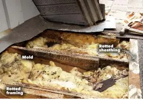  ??  ?? Mold Rotted framing Rotted sheathing