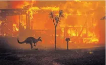  ?? MATTHEW ABBOTT NEW YORK TIMES FILE PHOTO ?? This fire season has been one of the worst in Australia’s history.