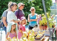  ??  ?? Auch im Botanische­n Garten wurde gestern gefeiert: Zum Sommerfest gab es Füh rungen und Vorträge. ULM