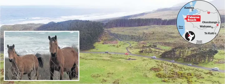  ?? Herald graphic Photos / Hunter Calder ?? It was the first time the classic car club members had driven to Taharoa and they said they would not return. Even getting a photo of horses grazing was challengin­g.