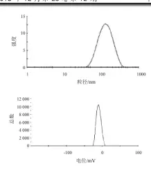  ??  ?? 图 3 SIHE-SLNs 粒径和电位图