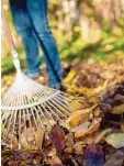  ?? Foto: dpa ?? Jetzt gilt es zwar, wertvolle Blätter im Garten zu verteilen. Aber Hobbygärtn­er sollten an sonnigen Tagen nicht nur arbeiten, sondern genießen.