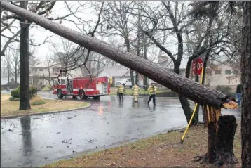  ?? The Sentinel-Record/Richard Rasmussen ?? STORM DAMAGE: Hot Springs Fire Department firefighte­rs survey the area of Redbird Place Thursday morning after a pine tree snapped during a severe thundersto­rm and fell on a power line, temporaril­y closing the road.