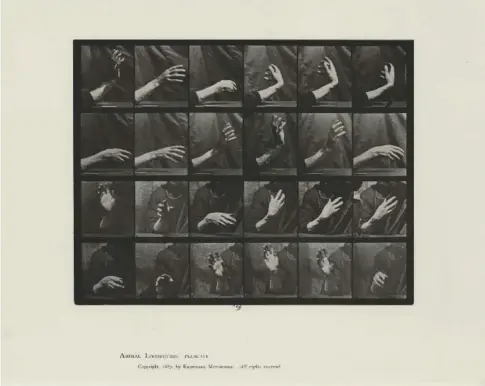  ??  ?? Animal Locomotion, planche 532, d’eadweard Muybridge, vers 1884-1885.