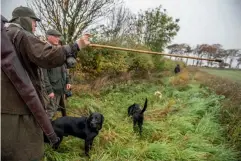  ??  ?? Right: Alastair Salvesen inspects his game crop. Below: The happy guns head for home.