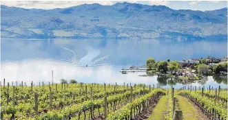  ?? PNG FILES ?? The growth of the wine industry in the Okanagan, and the accompanyi­ng popularity as a resort area, has made property in the region some of the most expensive agricultur­al land in the world.