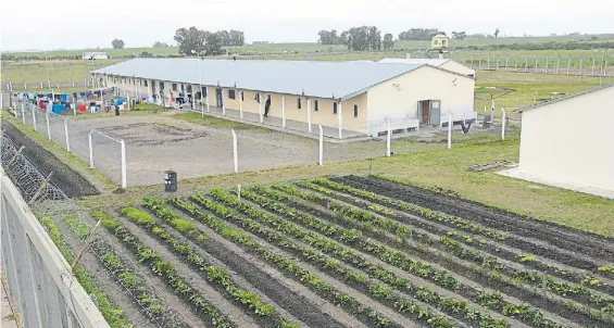  ?? JOSÉ ALMEIDA ?? Paisaje. La Unidad Penal 9 tiene amplios espacios verdes y en su interior las internas cultivan la tierra, cocinan y aprenden oficios.