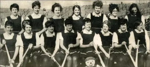  ??  ?? Wexford, All-Ireland Senior camogie champions 1968. Back (from left): Brigid O’Connor, Mary Walsh (capt.), Phyllis Kehoe, Josie Kehoe, Mary Sinnott, Eileen Lawlor, Eileen Allen. Front (from left): Joan Murphy, Brigid Doyle, Theresa Sheil, Mary Shannon, Carmel Fortune, Mary Doyle, Margaret O’Leary, Bernie Murphy.