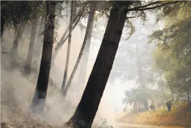  ?? Scott Strazzante / The Chronicle ?? Forest Service firefighte­rs conduct a firing operation as the Woodward Fire burns at Point Reyes in August.