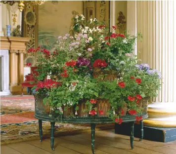  ??  ?? Half the secret of a good houseplant display is the stand. This 19th-century wire example at Dunham Massey Hall, Altrincham, sets off the pelargoniu­ms to perfection