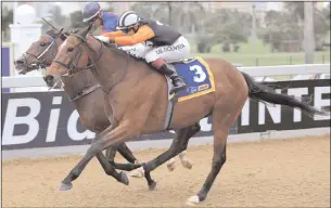  ??  ?? In a tight finish to the Naresh Chhagan Pinnacle Stakes at Greyville yesterday, DOUBLE CLUTCH (3) earned the decision on the nod as pacemaker SERISSA, with Anthony Delpech up, refused to throw in the towel. Ridden by apprentice Diego de Gouveia for...