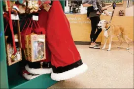  ?? EVE EDELHEIT/BLOOMBERG ?? A dog waits to be groomed near some items from the Holiday Tails Collection at a Petco Animal Supplies Inc. store in Florida.