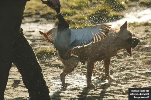  ??  ?? The Gun takes the retrieve… but what happens next?