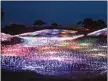  ?? PHOTO BY SERENA MUNRO ?? The Field of Light is part of the newly renamed Bruce Munro: Light at Sensorio, which reopens to the public April 15 in Paso Robles,