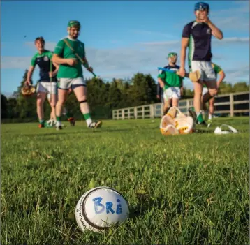  ??  ?? Great to be back. Full contact training resumes for the B ray Emmets hurlers on Monday evening.