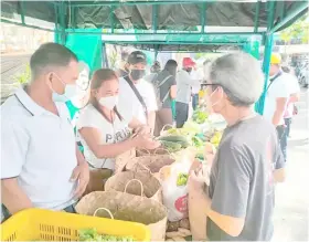  ?? PHOTOGRAPH COURTESY OF MORE POWER ?? MORE Power initiated a program to encourage Ilonggos to patronize local produce and appreciate the urban farmers’ efforts as well.