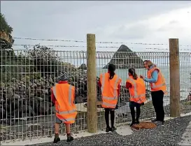  ?? WALSH/ FAIRFAX NZ ?? Spotting the seals through the fence no easy task.CHRISTINE