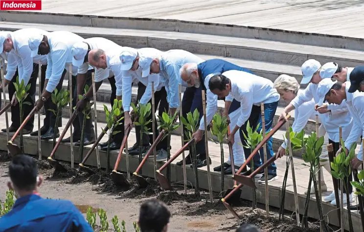  ?? — Reuters ?? Symbolic gesture: Jokowi with G20 heads of states and internatio­nal organisati­on leaders planting mangroves as part of the G20 Summit activities at Ngurah Rai Forest Park, Denpasar, Bali.