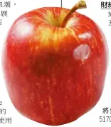  ??  ?? 加拉蘋果2018年的­生產量預計將達524­0萬箱，超越五爪蘋果的517­0萬箱。 （本報資料照片）
