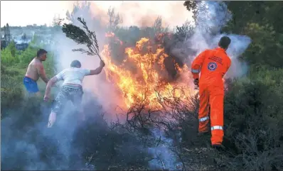  ?? YORGOS KARAHALIS / ASSOCIATED PRESS ?? Residents and volunteers use branches to try to extinguish a forest fire at Kalamos village, north of Athens, on Sunday.