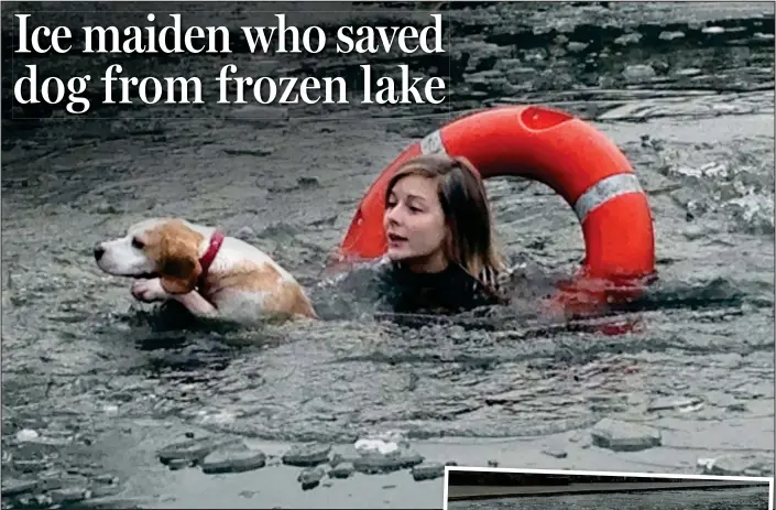  ??  ?? Dangerous waters: The mystery owner pushes her pet towards the safety of the bank
